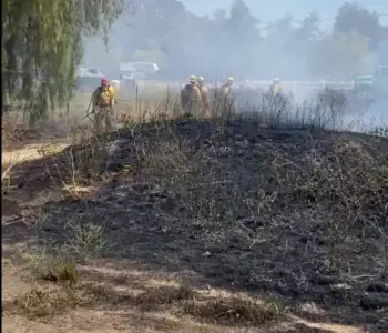 Crews make quick work of brush fire in Ramona that had threatened structures