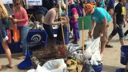 Morning after: Join volunteer cleanup after ‘dirtiest beach day’ of year